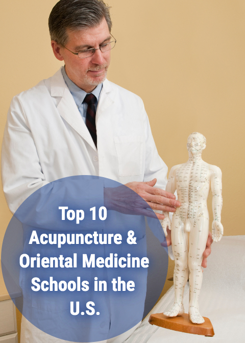 Top 10 Acupuncture & Oriental Medicine Schools in the U.S. title blog pic