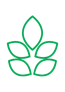 This image has an empty alt attribute; its file name is ACE-leaf.png
